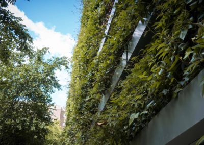 Jardín vertical Calle Pez Austral