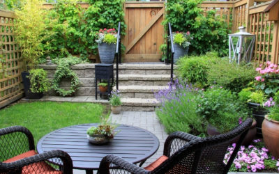Diseño y construcción de jardines en espacios pequeños.